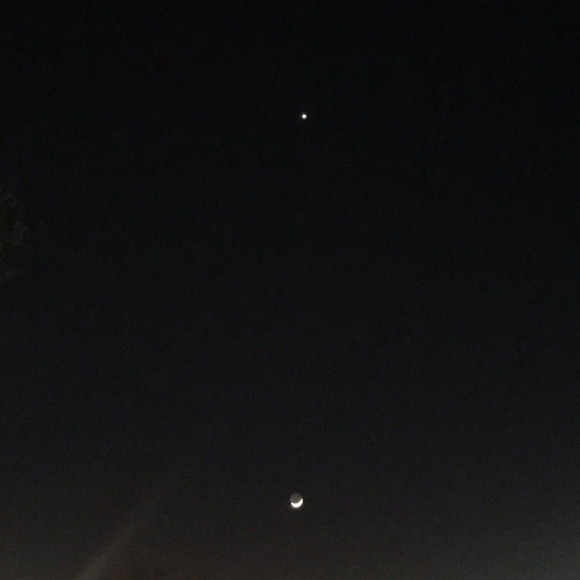 Meet your Posher, Anahi - Picture 1 of 1